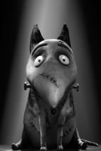 frankenweenie-promo-012