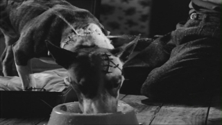 frankenweenie-078