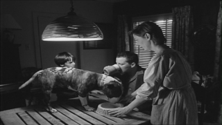 frankenweenie-112