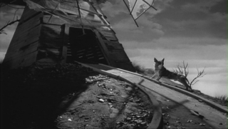 frankenweenie-129