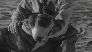 frankenweenie-166