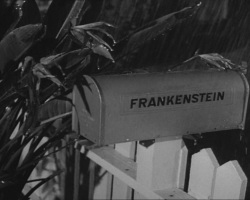 Frankenweenie1984-CourtMetrage-054