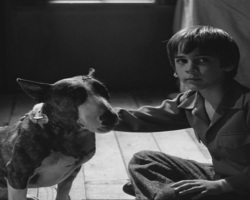 Frankenweenie1984-CourtMetrage-102