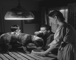 Frankenweenie1984-CourtMetrage-110