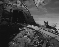 Frankenweenie1984-CourtMetrage-127