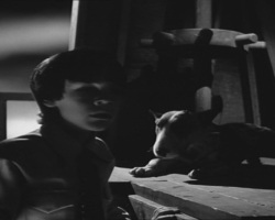 Frankenweenie1984-CourtMetrage-133