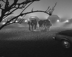 Frankenweenie1984-CourtMetrage-153