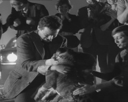 Frankenweenie1984-CourtMetrage-162