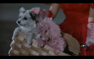 Pee-Wee-Film-175