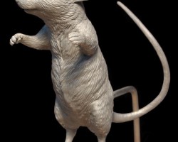 colin-shulver-mouse1