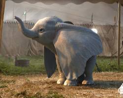 dumbo___character_design_by_michaelkutsche_dd3ndmf-pre