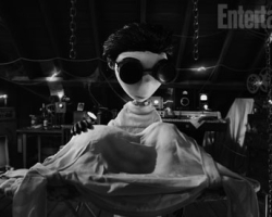 frankenweenie-burton_510