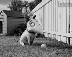 frankenweenie-movie_510