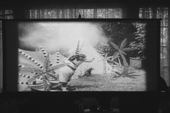 Frankenweenie1984-CourtMetrage-007