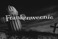 Frankenweenie1984-CourtMetrage-019