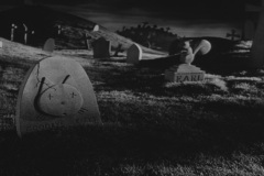 Frankenweenie1984-CourtMetrage-022