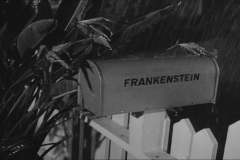 Frankenweenie1984-CourtMetrage-054