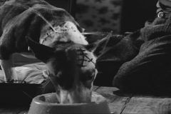 Frankenweenie1984-CourtMetrage-078