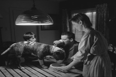 Frankenweenie1984-CourtMetrage-110