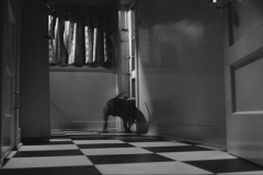 Frankenweenie1984-CourtMetrage-119