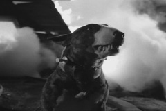 Frankenweenie1984-CourtMetrage-144