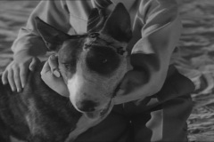 Frankenweenie1984-CourtMetrage-164