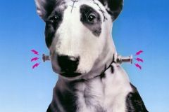 Frankenweenie1984-Promotion-AffichesPromo-1