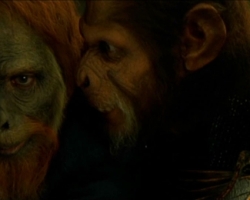 planet-of-the-apes-045