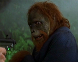 planet-of-the-apes-094