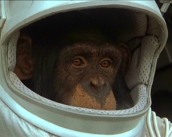 planet-of-the-apes-204