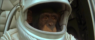 planet-of-the-apes-204