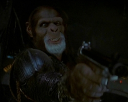 planet-of-the-apes-214