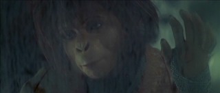 planet-of-the-apes-216